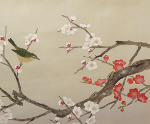 ◆◇掛軸 中野契介 梅 尺八横 現代作家新作掛軸 hanging scroll◇◆正月 早春 普段掛け めでた掛け 日本画 JY1478