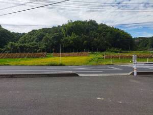 令和6年度島根県雲南市産コシヒカリ玄米 ハデ干し(天日干し) 30㎏