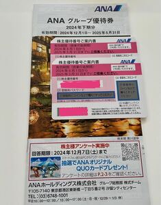 ANA 株主優待 全日空 2枚セット　+ ANAグループ優待券　【匿名配送】　【送料無料】