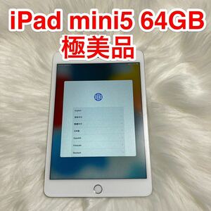 iPad mini5 64GB シルバー 中古品