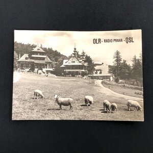 希少 ベリカード RADIO PRAHA チェコ スロバキア 1970年代 受信報告証明書 QSL 羊 風景 F12-70