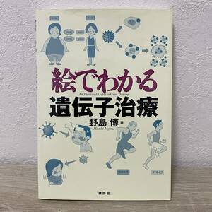 絵でわかる遺伝子治療 （絵でわかるシリーズ） 野島博／著