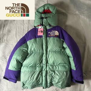 新品未使用 2XLサイズ GUCCI THE NORTH FACE グッチ ノースフェイス ダウンジャケット XXL コラボ レア 完売品 ダウン 防寒 冬 正規品