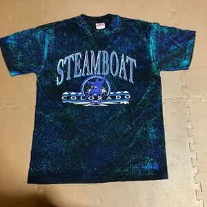 希少 USA製 90sヴィンテージ STEAMBOAT Tシャツ スキー スノボ アウトドア 総柄 モスキートヘッド 80s