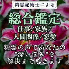 【期間限定価格】霊視鑑定  運気/仕事/人間関係/子育て/新生活/波動/占い