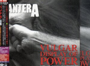 20周年記念 デラックス CD DVD 俗悪 VULGAR DISPLAY OF POWER PANTERA 廃盤 国内盤 パンテラ down damage plan hellyeah superjoint ritual