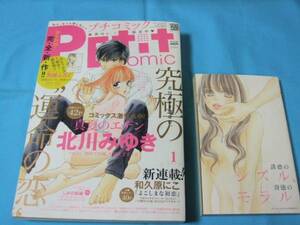 ★中古■プチコミック2013年1月号　■別冊付録付き/表紙 真夏のエデン/新連載 巻頭カラー よこしまな初恋