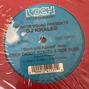 DJ KHALED / BORN AND RAISED 、GRAMMY FAMILY レコード　バイナル