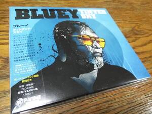 ☆BLUEY (INCOGNITO)　TINTED SKY　帯付国内盤 (ボーナストラック収録)　20年ソロ作