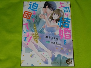 ★上司が結婚を迫るので困っています！　～私とアナタの境界線～★珈倉ともは★送料112円