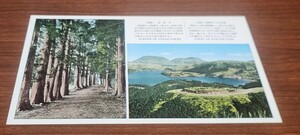 2006　絵葉書　箱根　杉並木・箱根峠よりの展望