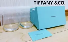 未使用◎送料込み◎匿名配送◎ TIFFANY &CO (ティファニー)