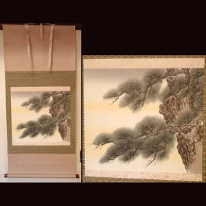 【真作 清甫 長寿松 掛け軸9】掛軸 肉筆絹本 絵画 日本画 茶掛 茶道具 桐共箱付き JA通信販売 頒布会 美術工芸品