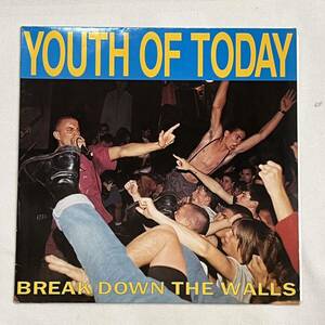 YOUTH OF TODAY / break down the wall LP