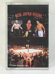 ★☆D304 新日本プロレス 橋本信也/蝶野正洋/藤波辰巳のテーマ カセットテープ☆★