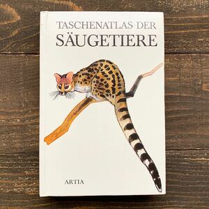 ドイツの古い哺乳類の図鑑(TASCHENATLAS DER SAUGETIERE 1974年)/アンティーク ヴィンテージ ヨーロッパ 哺乳類 動物図鑑 イラスト 美品/