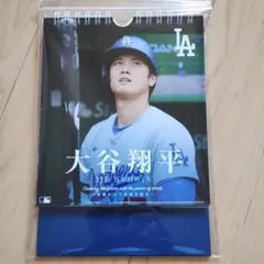 大谷翔平　万年日めくり　カレンダー