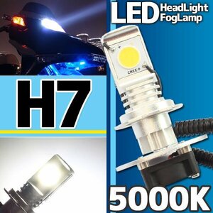 CREE製 バイク用 H7 LED ヘッドライト フォグランプ 5000K 5000ケルビン 1灯分 冷却ファン付き 高性能デジタルコントローラー 12V・24V用