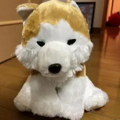 もふっとオオカミ ワンダフル