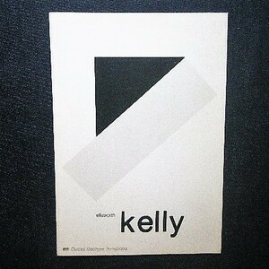 エルズワース・ケリー 1980年 洋書 Ellsworth Kelly peintures et sculptures 1968-1979