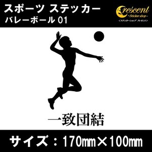 バレーボール ステッカー スポーツ 01 全26色 スローガン 部活 応援 クラブ チーム シール 車 バイク 傷隠し