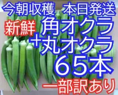 新鮮　オクラ　６５本　一部訳あり