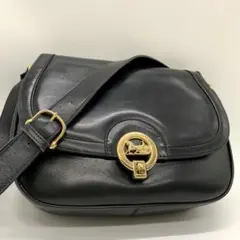 激レア ✨ CELINE ショルダーバック ブラック  馬車金具　フィービー期