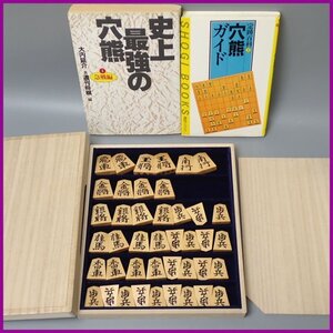 ☆1円 一部未使用 清峰作 水無瀬書 島黄楊 柾目 彫駒 + 将棋本 2冊/史上最強の穴熊/定跡百花/桐箱付き/ボードゲーム&2024000005