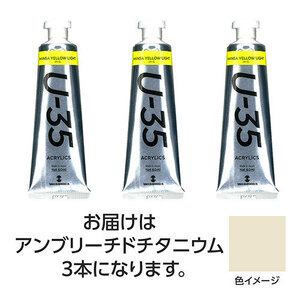 まとめ得 ターナー色彩 U35 アンブリーチドチタニウム60ml 3個 TURNER108763 x [3個] /l