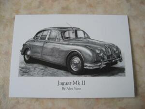 ジャガー（ＪＡＧＵＡＲ）ＭＫⅡカード★Ｄタイプ・ルマンＸＫＥ・英国車・Eタイプ・XJ・XF・F-PACE・XE