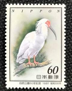 [20042115]【自然公園50年記念】単片 鳥「トキ」60円 1981年発行 美品*