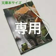 ブックカバー文庫本サイズ　雨の中の子猫とカエル