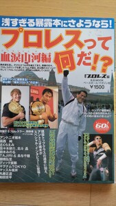 プロレスって何だ!？血涙山河編 週刊プロレス増刊