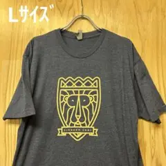 USA古着Tシャツ　Lサイズ NEXT LEVEL KINGDOM COME