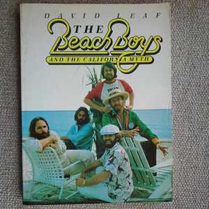 THE Beach Boys AND THE CALIFORNIA MYTH Leaf 洋書