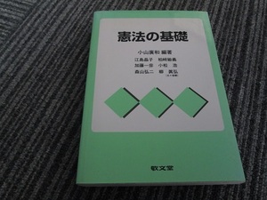 送料無料！　　憲法の基礎　　小山廣和 編著　江島晶子など執筆