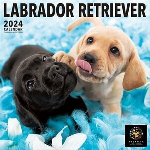 新品 ラブラドール・レトリーバー PICTWAN (ピクトワン) カレンダー DOG 【L版】 2024年カレンダー24CL-50014L