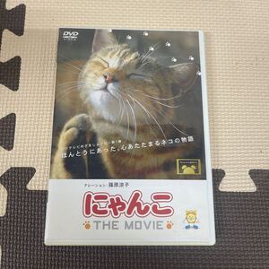 ● 正規品 にゃんこ THE MOVIE フジテレビ めざましムービー ナレーション 篠原涼子 ねこ ネコ 猫 DVD 中古品 ●