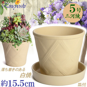 植木鉢 おしゃれ 安い 陶器 サイズ 15cm ハーブのかおり 5号 白焼 受皿付 室内 屋外 白 色