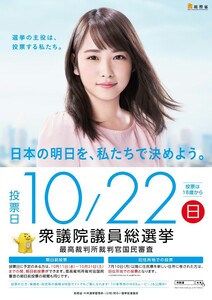 【新品】川栄李奈★10/22衆議院選挙ポスター★B2サイズ