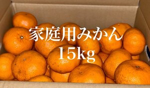 【熊本県産】みかん 訳あり 家庭用 15kg【東北北海道地方への発送不可】