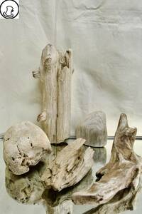 SEASIDEinterior☆おもしろい形の流木5本セット,Cool driftwood for decorating 102