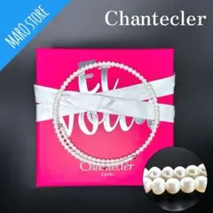 【美品】Chantecler シャンテクレール パール チョーカー 925