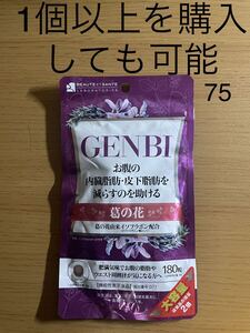 ボーテサンテラボラトリーズ GENBI 180粒 大容量