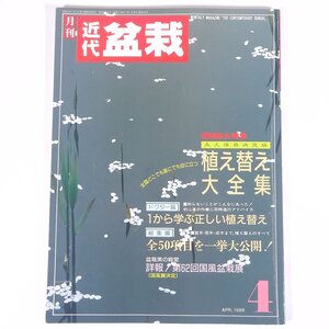 月刊 近代盆栽 No.126 1988/4 近代出版 雑誌 盆栽総合誌 園芸 ガーデニング 植物 特集・植え替え大全集 第62回国風盆栽展 ほか