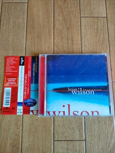 帯付き 廃盤 ブライアン・ウィルソン イマジネーション Brian Wilson Imagination 細野晴臣 ビーチ・ボーイズ The Beach Boys 