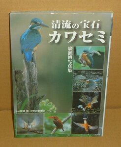 鳥2010『清流の宝石 カワセミ －廣瀬博写真集－』 廣瀬博 撮影／宇治野憲治 文