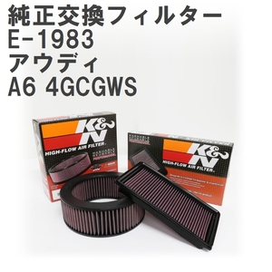 【GruppeM】 K&N 純正交換フィルター 4G0133843 アウディ A6 4GCGWS 11-15 [E-1983]