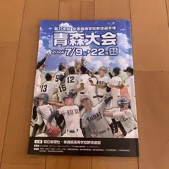 第106回全国高等学校野球選手権　青森大会　プログラム