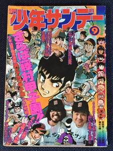 1975年3月2日No9号週刊少年サンデー さらば藤村甲子園 男どアホウ甲子園 大感動の最終回 水島新司 プロゴルファー猿 ロボコン 石森章太郎